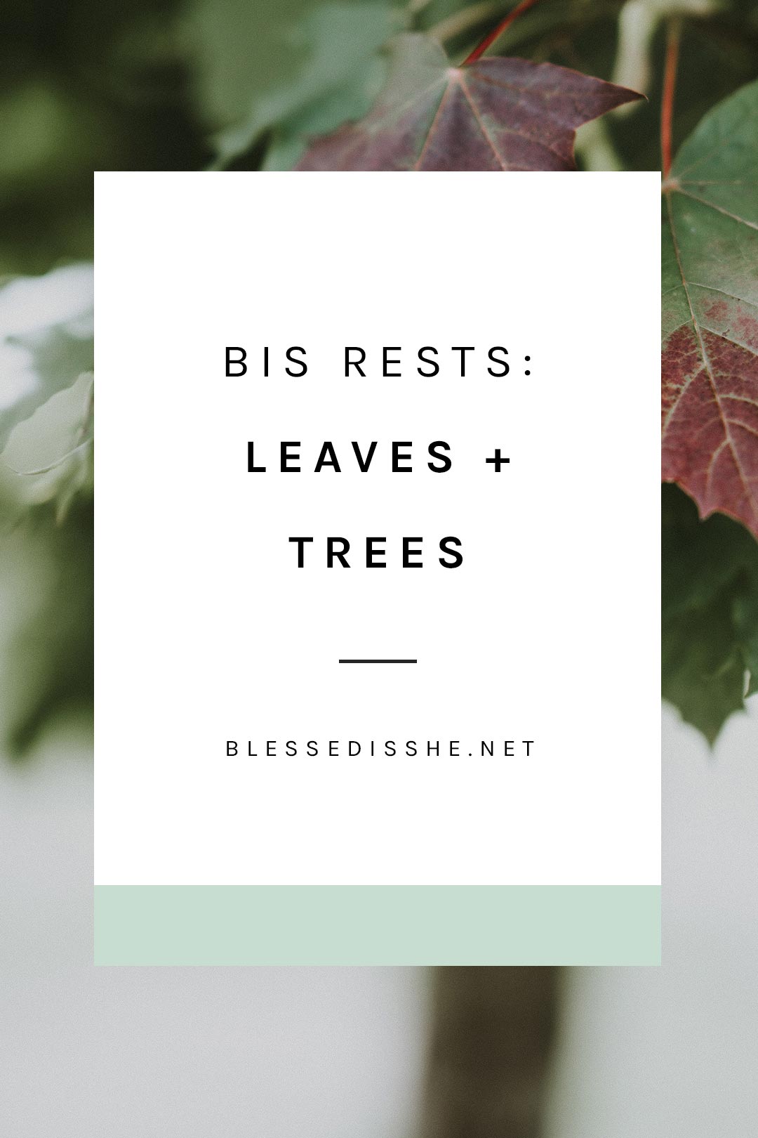 bis rests leaves + trees