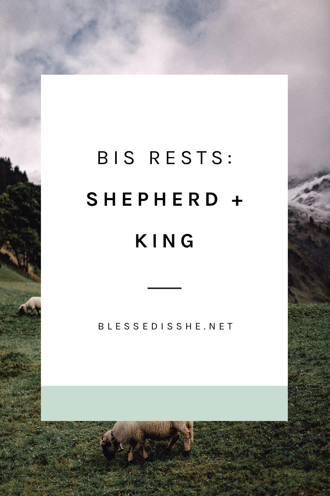 bis rests shepherd + king