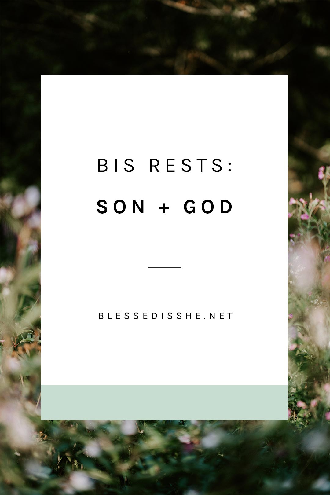 bis rests son + god