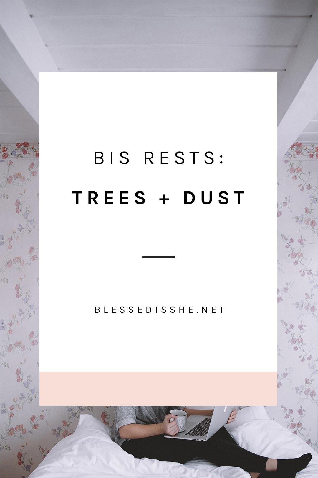bis rests trees + dust