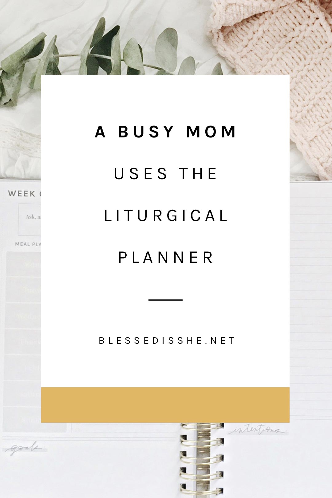 blessed is she planner review