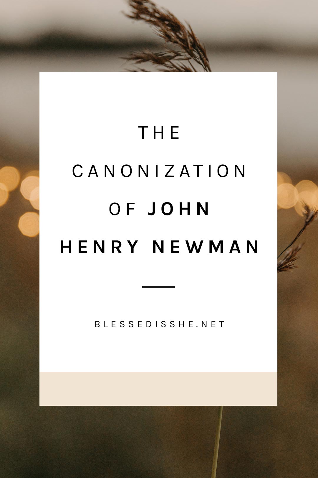 who is john henry newman