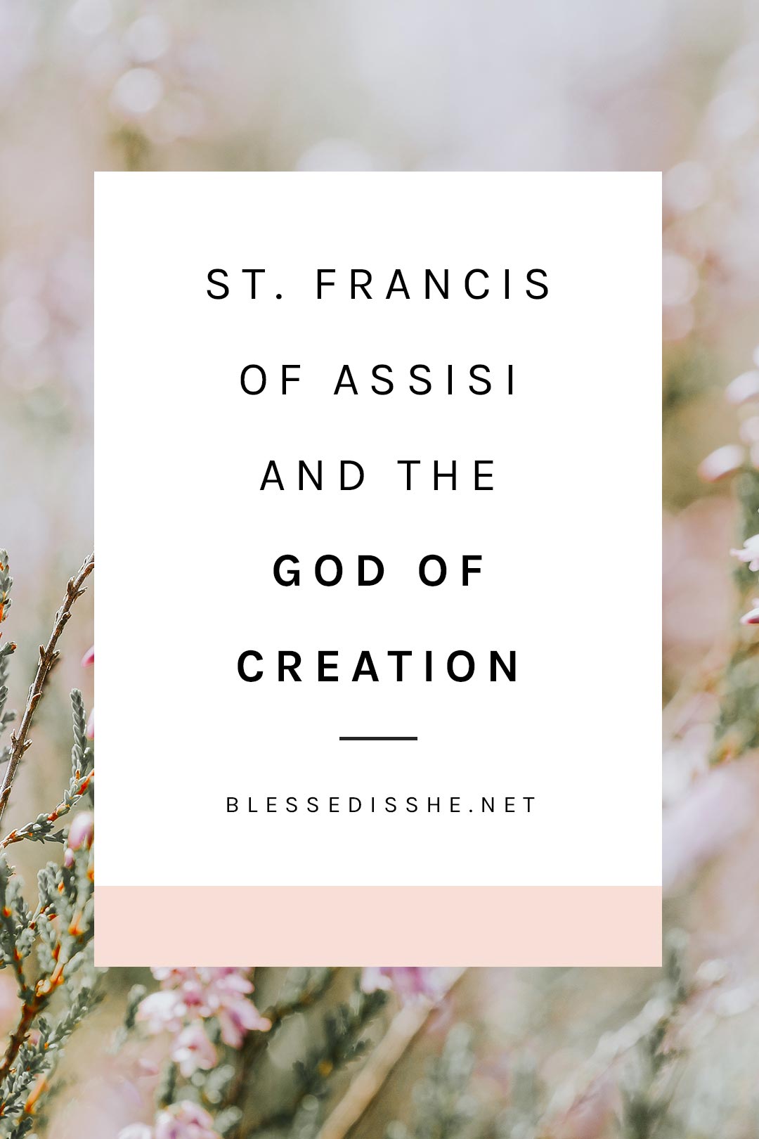 francis of assisi canticle of creation