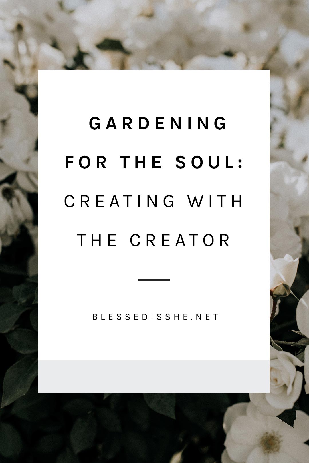 what gardening does for the soul