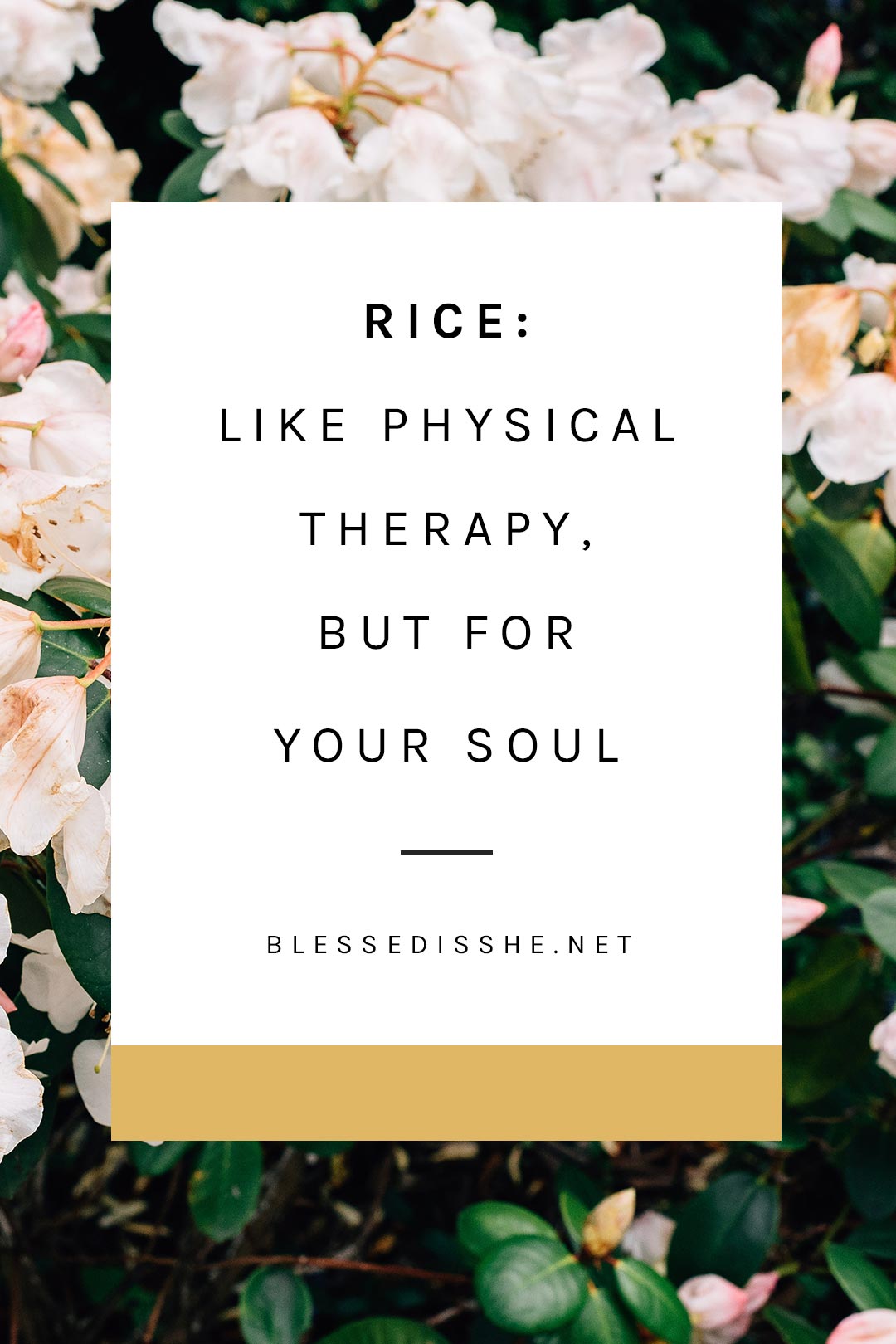 rice physical therapy spiritual therapy 