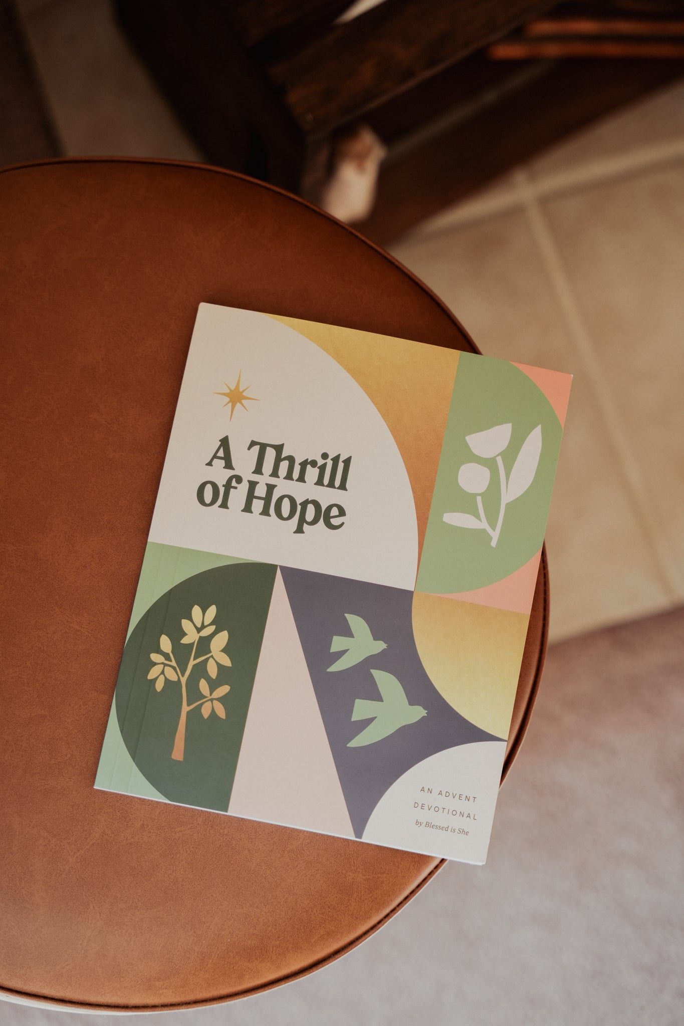 A Thrill of Hope: Advent Meditations for Catholic Women - Blessed Is She product image