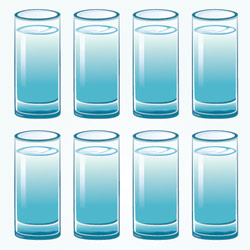 8 Glasses of Water