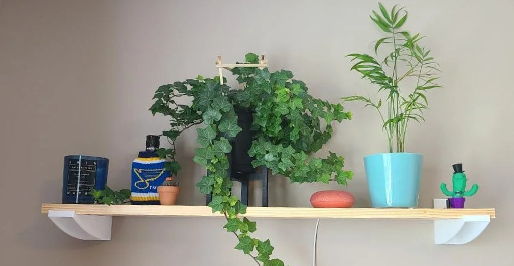 3d printing wall shelf with jewelry draped beautifully.