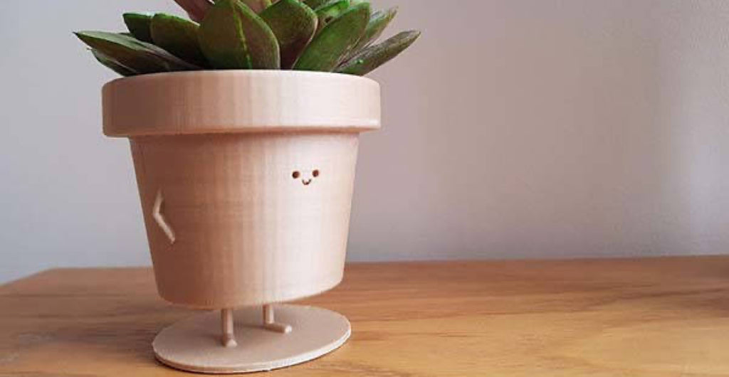 A cutesy 3D printed planter with a succulent.