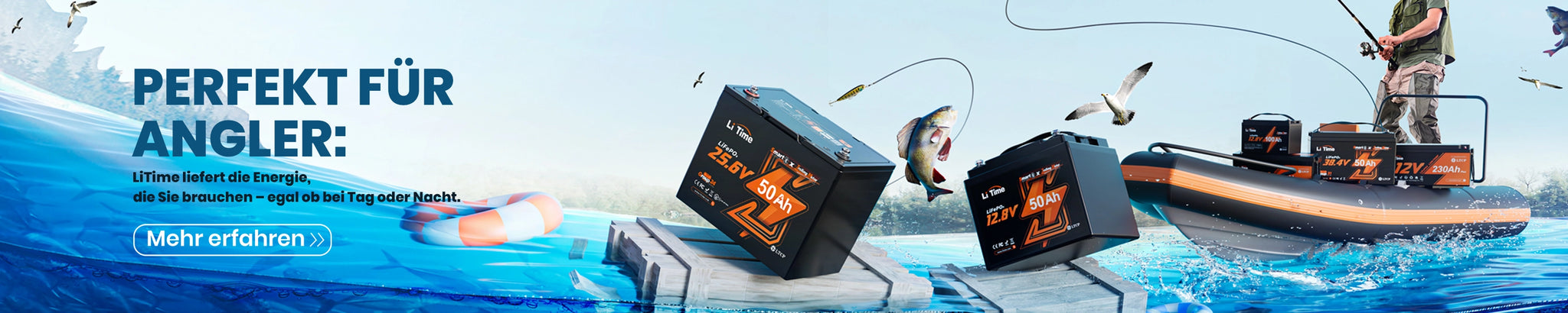 LiTime LiFePO4-Batterie-3000X600.webp__PID:0d63c73b-d9e2-40e0-ba13-6f0945d2f8b6