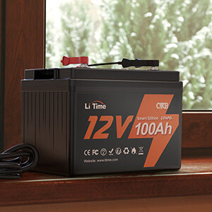 0% MwSt.】LiTime 12V 100Ah Selbstwärmende LiFePO4 Batterie mit 100A BM –  LiTime-DE