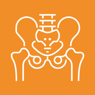 Hip Replacement