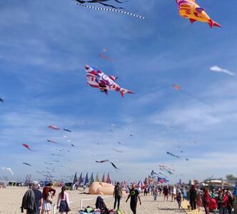 Kites flying above Pinarella beach.