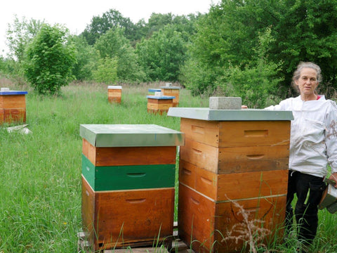 Gesine Conrad Bioland Imkerei Bienenklang vor Dadant Beuten am Standort in Ahrensfelde