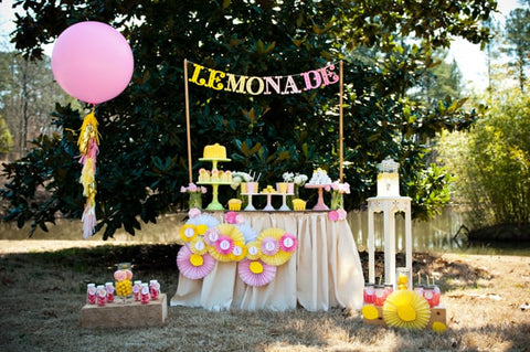  Lemonade Stand Party Theme