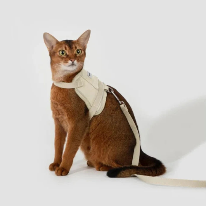 HiDream Vest Kattsele - Rymningssäker & One size - Passar alla Katter Mjölkbrun / One size