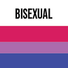 Bisexual Pride Flag with Label | LGTBQ Pride Flags