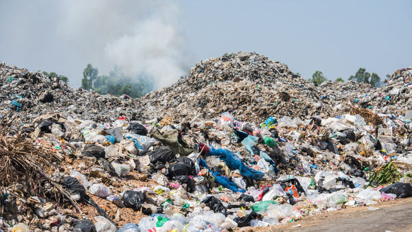 food waste sent to landfill from sewage treatment san francisco