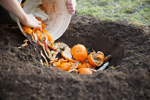 layer compost to avoid pests