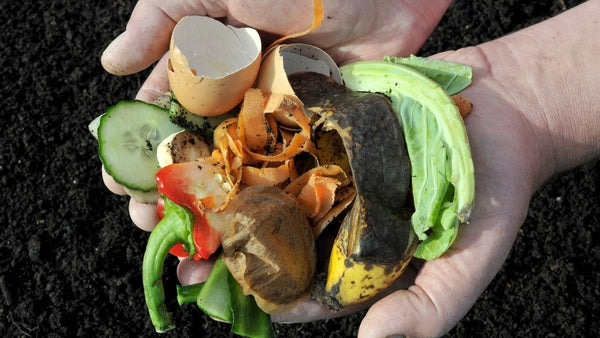 Live without a garbage disposal with outdoor composting