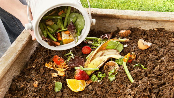 empty home compost bin in backyard compost