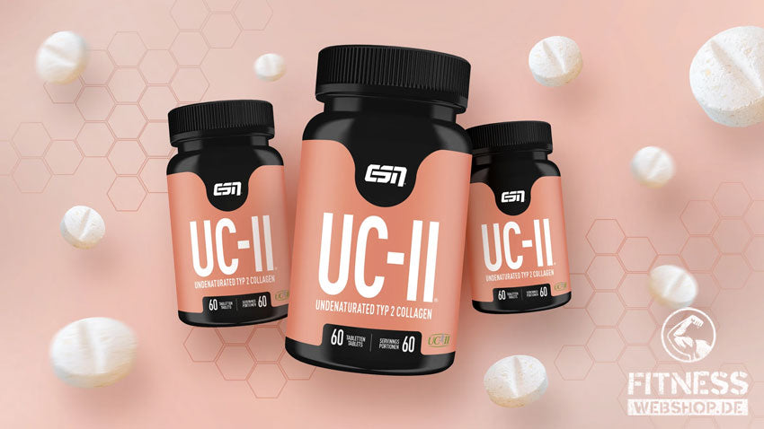 ESN UC-II TYP2 COLLAGEN günstig kaufen bei FitnessWebshop !