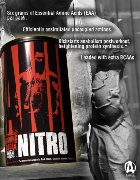 Universal ANIMAL NITRO Aminos günstig kaufen