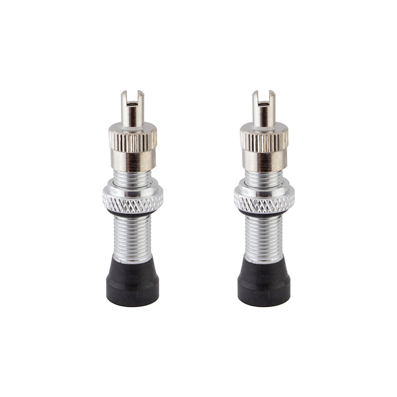 tubeless schrader valve stem