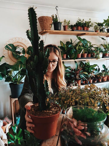 Katy King, Director of Wild Plant Shop