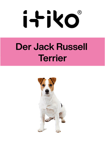 Der Jack Russell Terrier  Aufgrund seines fröhlichen und lebhaften Charakters ist der Jack Russell Terrier in vielen Familien gern gesehen. In dem niedlichen Familienhund steckt jedoch auch ein ausdauernder und mutiger Jäger. Um diesen ausgeprägten Jagdtrieb in den Griff zu bekommen, bedarf es einer konsequenten Erziehung