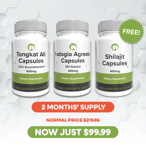 Testosterone Booster Plus Free Shilajit & Protein - 2 Months' Supply - Natural Foundation Supplements North America