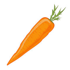 carrot.jpeg__PID:46da5f4c-9eff-4b73-ba82-7a062f50cea1