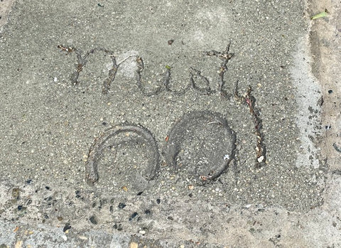 Misty of Chincoteague hoofprints in sidewalk by Island Theater on Chincoteague Island