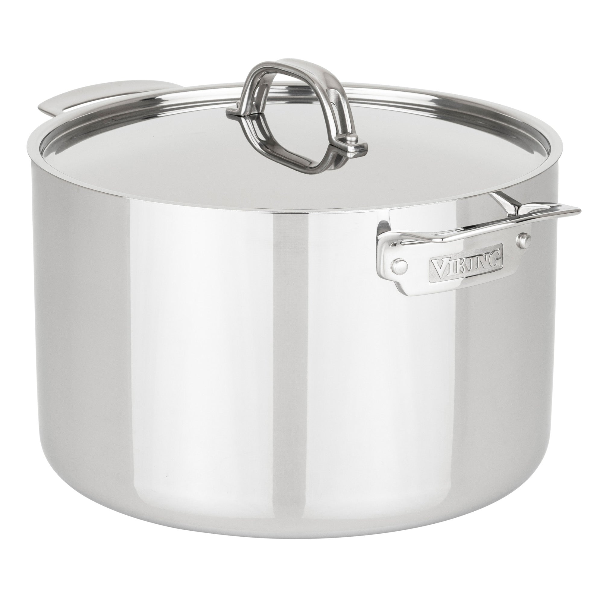 Cuisinart Chef's Classic Enameled Steel 12 Qt Stockpot with Lid - Fante's  Kitchen Shop - Since 1906