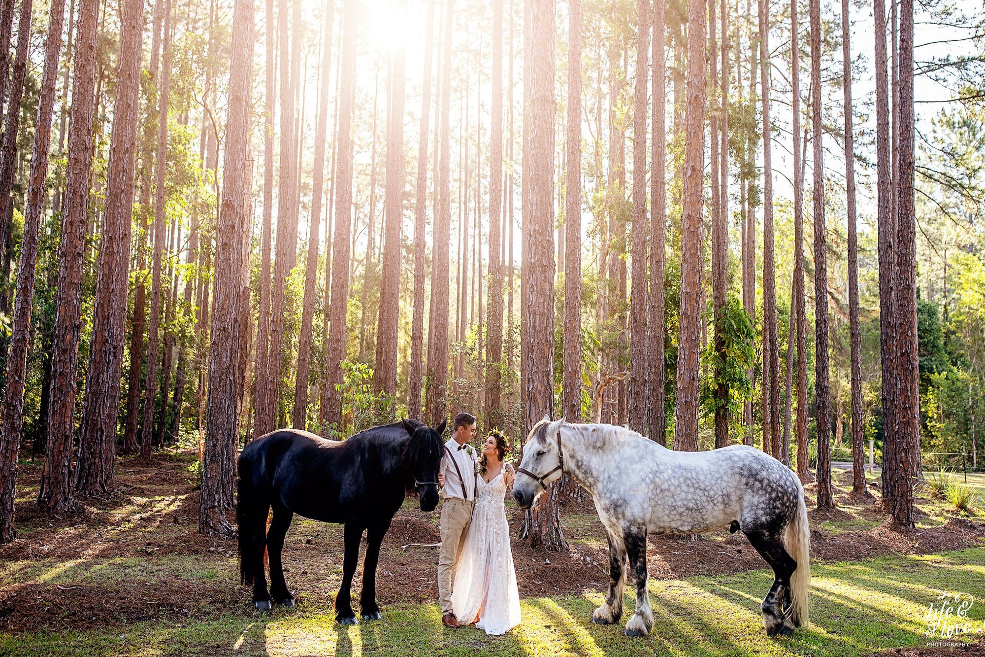 pet horses at a wedding