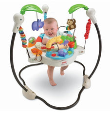 fisher price bouncer australia