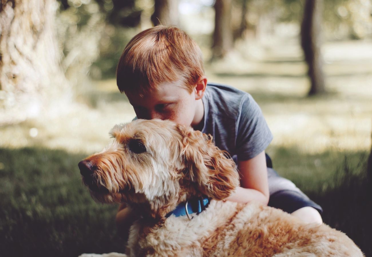Junge mit Hund sitzt auf der Wiese im Schatten eines Baumes, der Junge umarmt den ruhig daliegenden Hund und gibt ihm einen Kuss auf den Kopf.