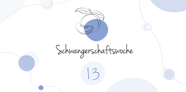 LILLYDOO Schwangerschaftskalender SSW 13 Dein Baby ist so groß wie eine Aprikose