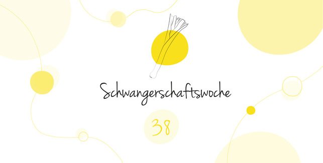 LILLYDOO Schwangerschaftskalender SSW 38 Dein Baby ist so groß wie eine Stange Lauch