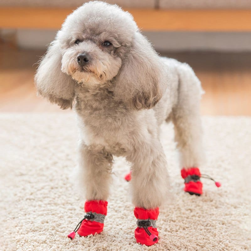4pcs Antiskid Pet Dog Shoes Pet Protection Soft-soled Puppy