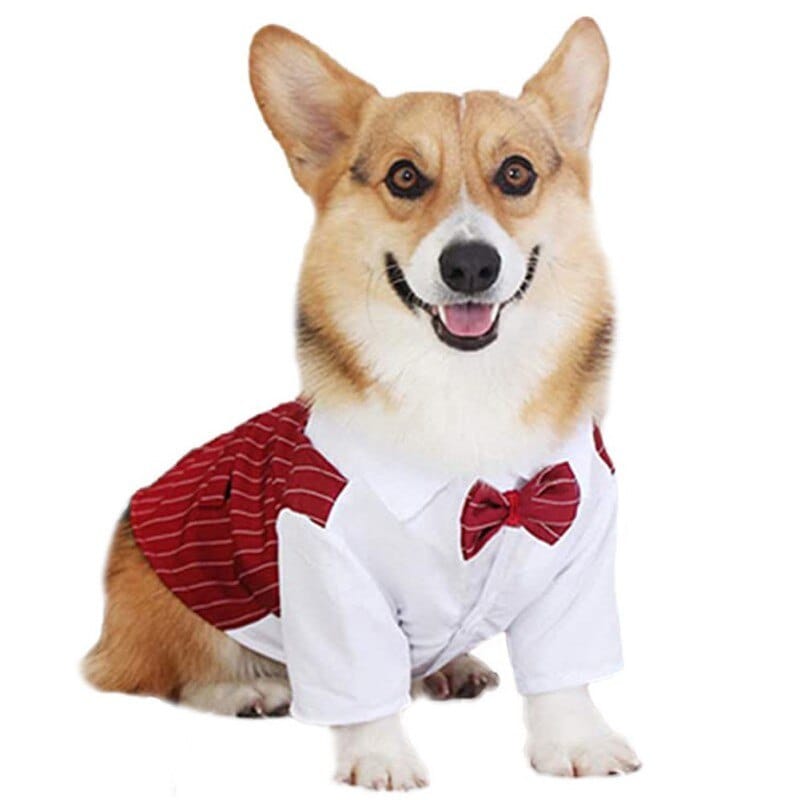 Dog Shirt Pet Small Dog Clothes Stylish Suit Bow Tie Wedding