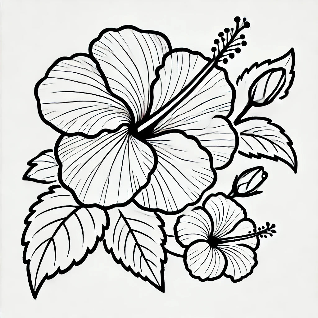 Fleurs d'Hibiscus
