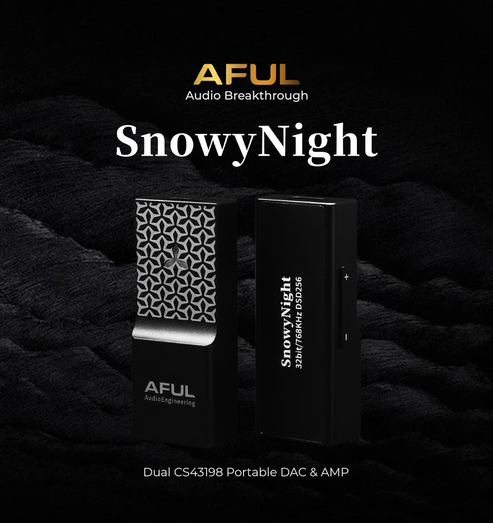 AFUL SnowyNight 1
