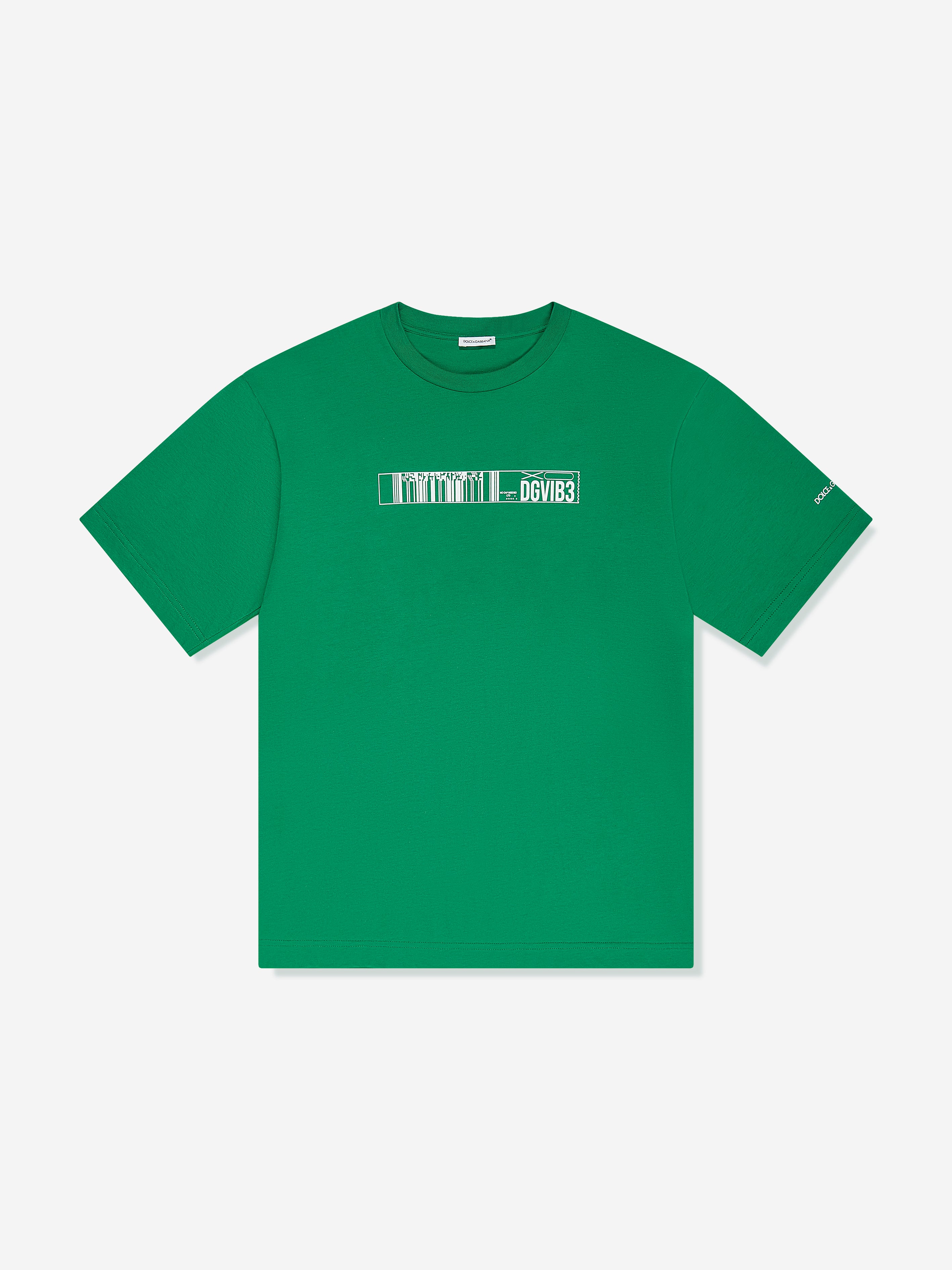 Dolce & Gabbana Kids' Boys Dg Vibe T-shirt In Green