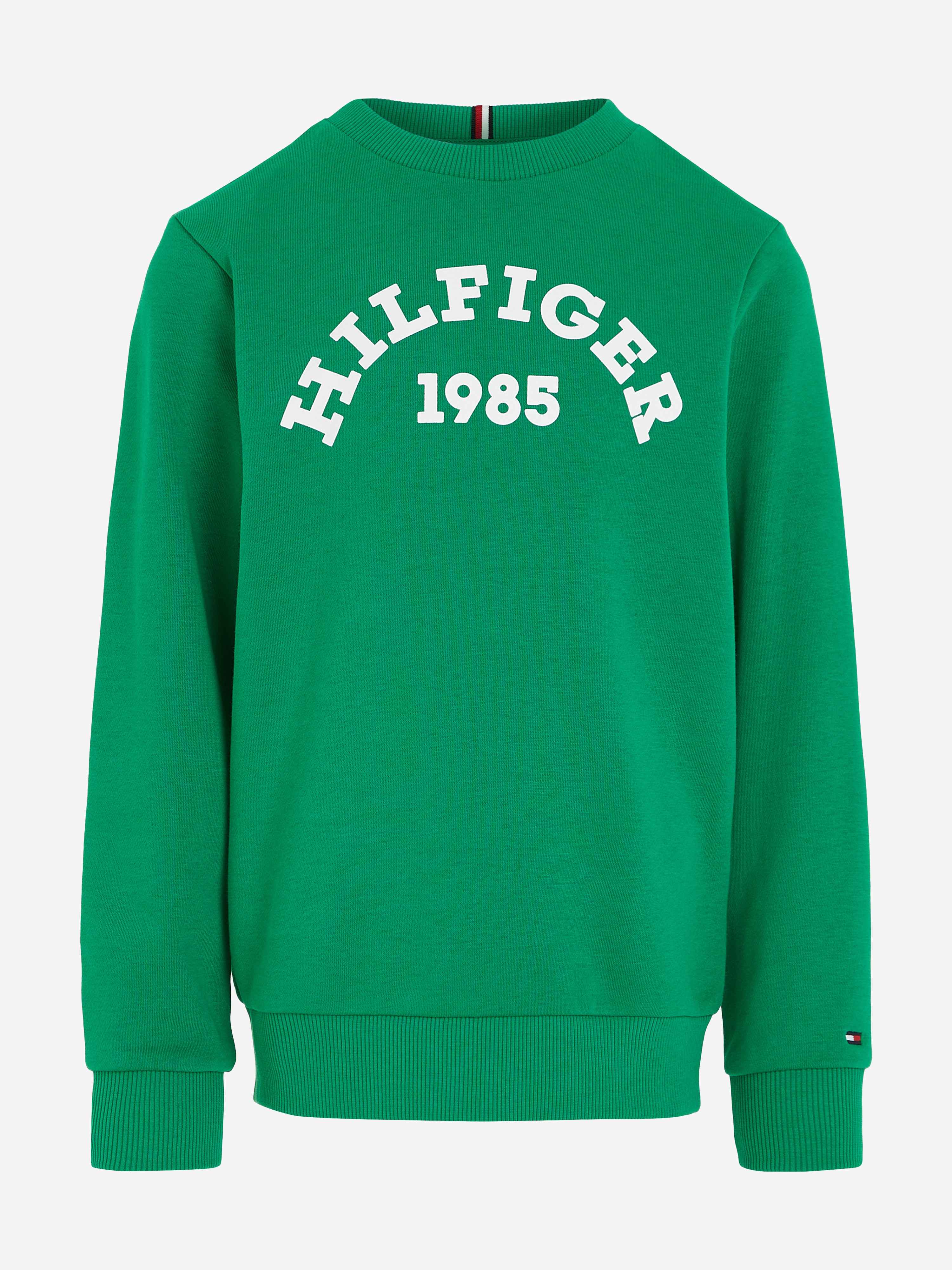 Tommy Hilfiger Kids' Boys 1985 Logo Sweatshirt In Green
