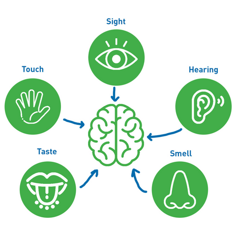 Five Senses Matter for A Good Quality of Life @ SOUNDLIFE Hearing Center Indonesia