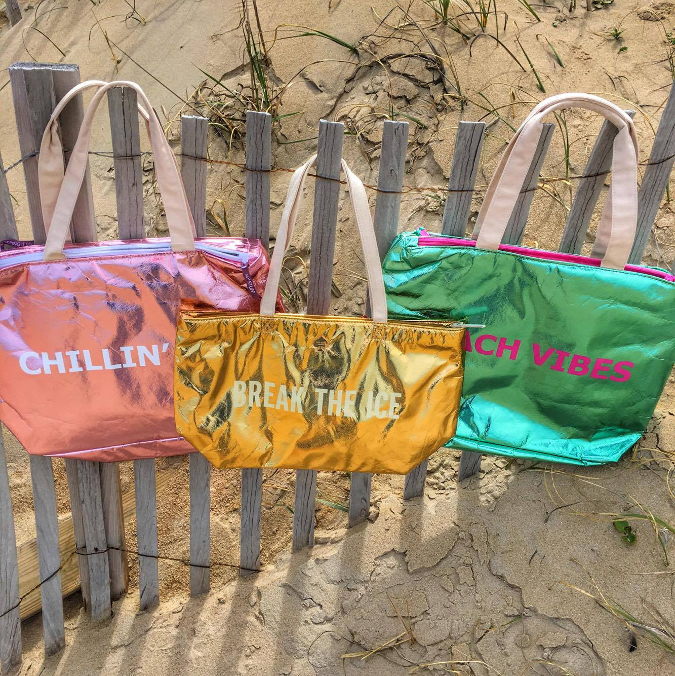 insulated beach bags