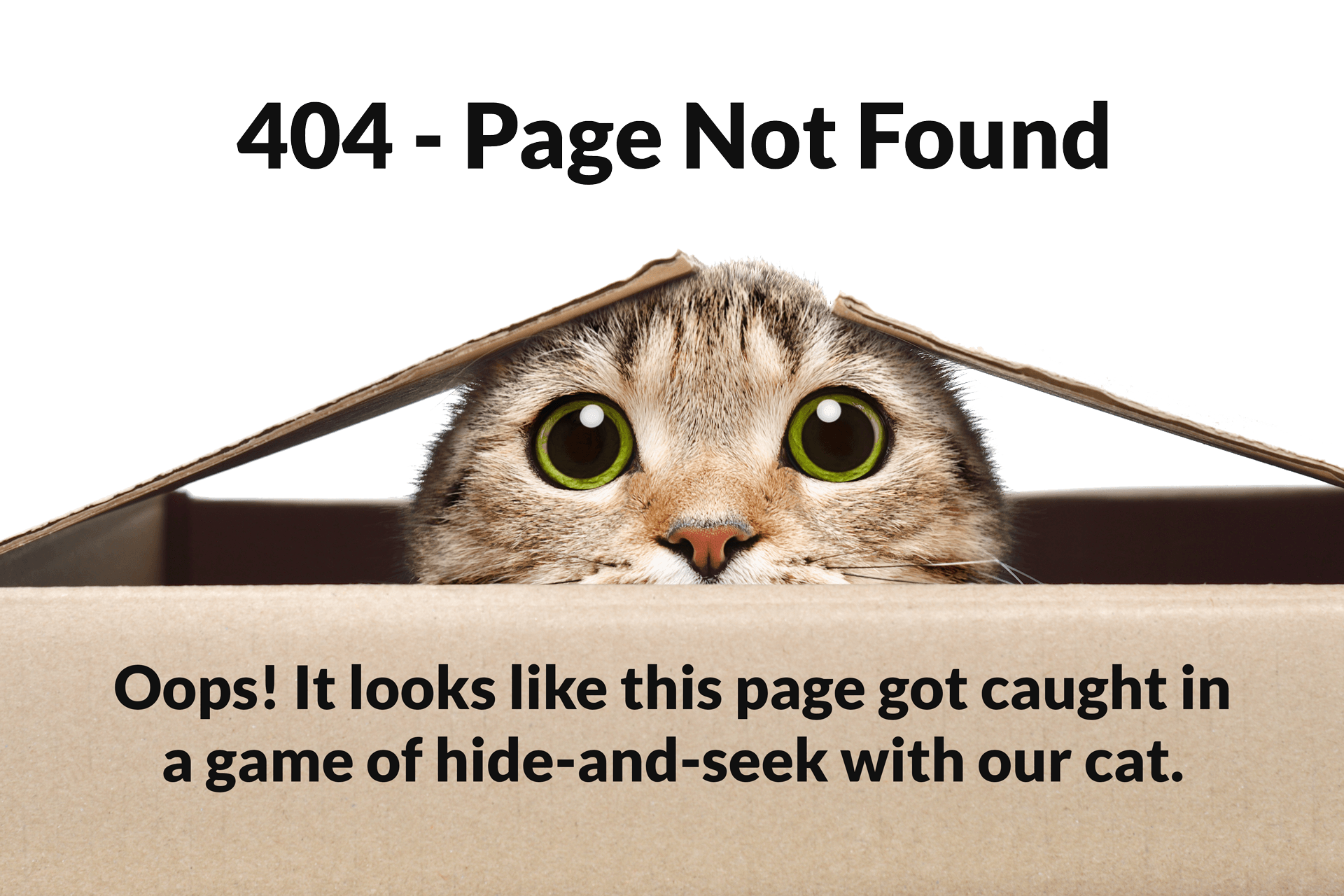 404