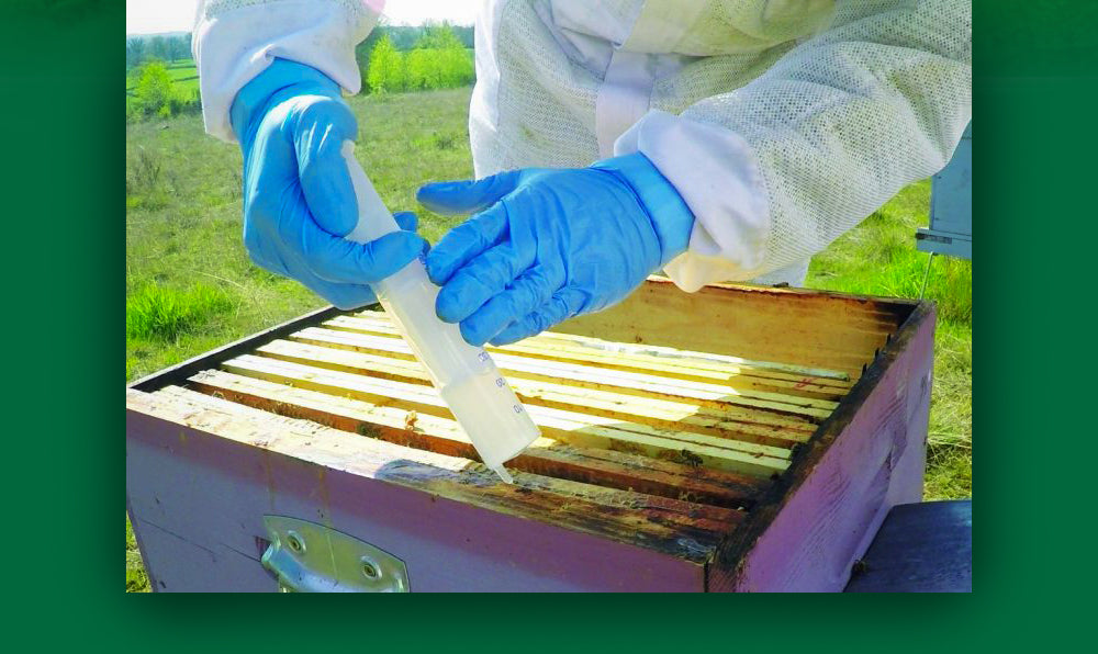MYTH-BEE Oxalsäure für Bienen 200g
