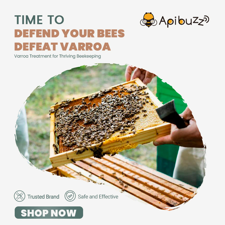 Traitement contre les acariens Varroa - APIBUZZ Apiculture